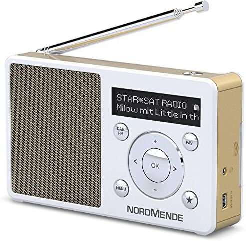 TechniSat Nordmende Transita 100 Radio DAB portatile e di ricezione (DAB+, FM, altoparlante, porta cuffie, memoria preferita, display OLED, batteria, piccola, portatile), colore: Bianco