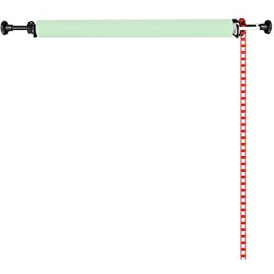 NEEWER Sistema di Supporto Manuale per Montaggio a Parete a Rullo Singolo per Fotografia con 2 x Gancio Singolo, 2 x Barra di Espansione, 1 x Catena, Capacità di Carico: 22lb/10kg, Verde NEEWER Sistema di Supporto Manuale per Montaggio a Parete a Rullo Singolo per Fotografia con 2 x Gancio Singolo, 2 x Barra di Espansione, 1 x Catena, Capacità di Carico: 22lb/10kg, Verde