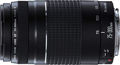 Canon EF 75-300mm/ 4,0-5,6/ III Obiettivo Zoom(Ricondizionato)