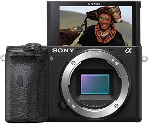 Sony Alpha 6600   Fotocamera mirrorless APS-C (autofocus veloce di 0,02 s, stabilizzazione ottica dell'immagine a 5 assi nella custodia)