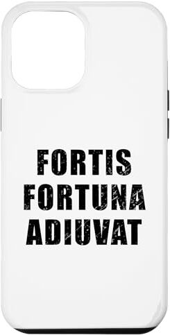 Fortis Custodia per iPhone 14 Pro Max