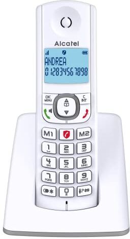 Alcatel F530 Telefono cordless con blocco avanzato delle chiamate, vivavoce, ampio schermo retroilluminato, suonerie VIP, 10 melodie di chiamata, grigio