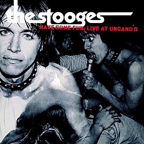 Stooges Have Some Fun: Live At Ungano's