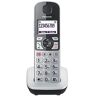 Panasonic KX-TGQ500GS Senior Phone (telefono cordless IP DECT (cordless) con pulsanti grandi, pulsante di emergenza, telefono ritirato per apparecchi acustici) argento