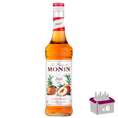 Wine And More Lot de 6 Sirop Monin Pêche 1L