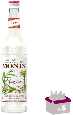 Wine And More Lot de 6 Sirop Monin Gingembre 70cL