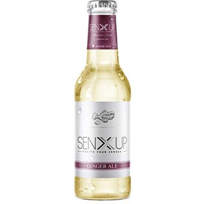 SENXUP Excite your senses SENXUP Ginger Ale Premium Mixer in Confezione da 24x200ml SENXUP Excite your senses SENXUP Ginger Ale Premium Mixer in Confezione da 24x200ml