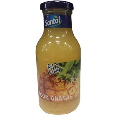 Santal SUCCHI ANANAS PLUS 100 24 X 250 ML Santal SUCCHI ANANAS PLUS 100 24 X 250 ML