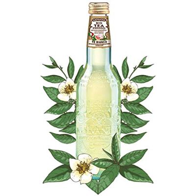 Galvanina Tè Bianco confezione 12 x 355ml. Galvanina Tè Bianco confezione 12 x 355ml.