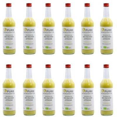 Pure Bio di zenzero Concentrato – Un tessuto misto base Concentrato in controllati angebautem peruanischen Bio di zenzero – Senza additivi, senza zucchero Pure Bio di zenzero Concentrato – Un tessuto misto base Concentrato in controllati angebautem peruanischen Bio di zenzero – Senza additivi, senza zucchero