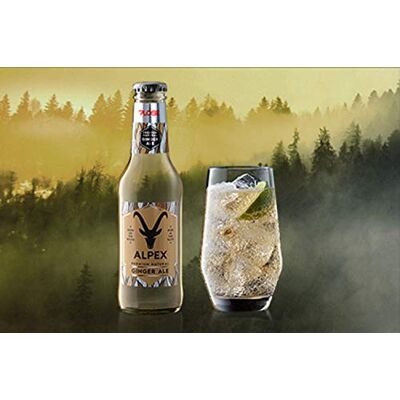 Plose Premium Natural Ginger Ale 200 ml x 6 Plose Premium Natural Ginger Ale 200 ml x 6