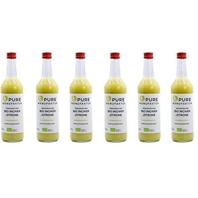 Pure – Zenzero biologico peruviano di alta qualità con limone senza zucchero e additivi artificiali, 100% biologico (DE-ÖKO-005), 6 x 500 ml Pure – Zenzero biologico peruviano di alta qualità con limone senza zucchero e additivi artificiali, 100% biologico (DE-ÖKO-005), 6 x 500 ml