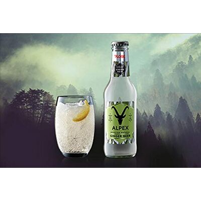 Plose Selected Natural Ginger Beer 200 ml x 6 Plose Selected Natural Ginger Beer 200 ml x 6
