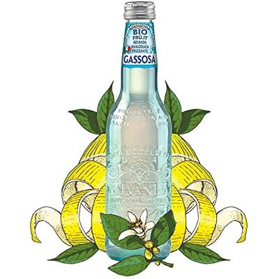 Galvanina 12 x GASSOSA in vetro 335 ml Bibita BIOLOGICA prodotta in Italia Galvanina 12 x GASSOSA in vetro 335 ml Bibita BIOLOGICA prodotta in Italia