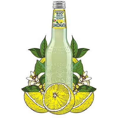 Galvanina 12 X LIMONATA in vetro 335ml Bibita BIOLOGICA prodotta in Italia Galvanina 12 X LIMONATA in vetro 335ml Bibita BIOLOGICA prodotta in Italia