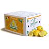 SANGASPANO Limoni 100% Siciliani e 100% Biologici Massima Freschezza e Sostenibilità, Limoni Raccolti Direttamente dai Nostri Alberi 7 kg