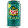 Canada Dry lattine 350ml X24 Questo  Ginger Ale