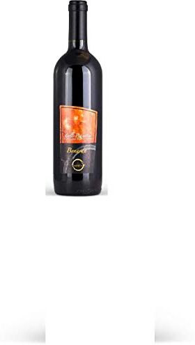 YesEatIs Cantine Mainetti Colli Piacentini D.O.C. Bonarda Secco Frizzante 6 Bottiglie