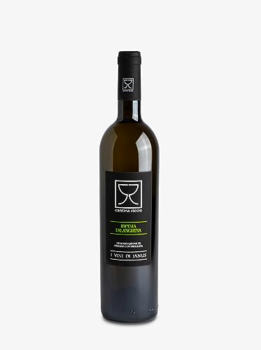 Cantina Riccio Irpinia Falanghina Doc 2022  I Vini di Janus vino bianco 0,75 litri