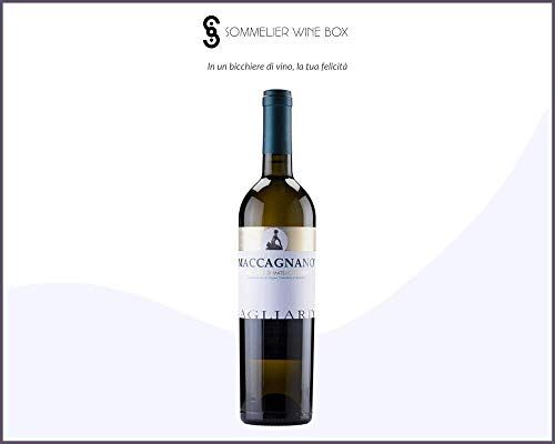 Sommelier Wine Box RISERVA Maccagnano VERDICCHIO DI MATELICA   Cantina Gagliardi   Annata 2017