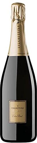 Ferghettina Franciacorta DOCG Extra Brut  2013 0,75 L