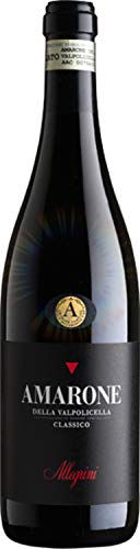 ALLEGRINI Amarone della Valpolicella DOC 1995-3 lt.