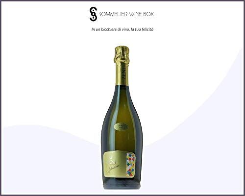 Sommelier Wine Box NOSIOLA BRUT Arlecchino   Cantina Zeni   Annata 2019
