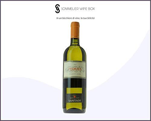 Sommelier Wine Box NURAGUS DI CAGLIARI Pedraia   Cantina Santadi   Annata 2019