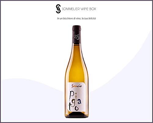 Sommelier Wine Box PIGATO RIVIERA LIGURE PONENTE   Cantina Sancio   Annata 2019