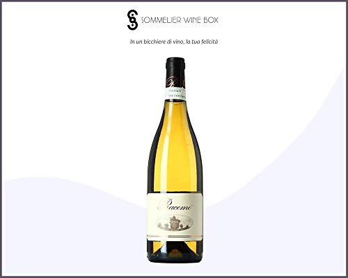 Sommelier Wine Box FRASCATI SUPERIORE Racemo Bianco   Cantina L'olivella   Annata 2019