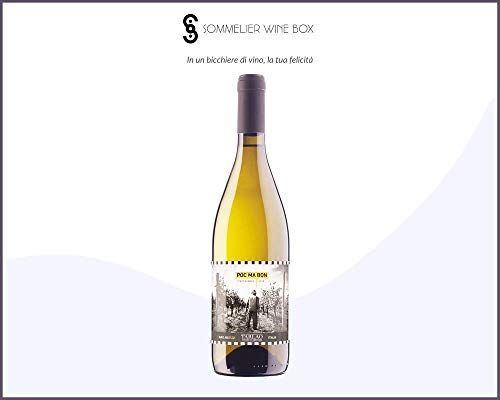 Sommelier Wine Box PINOT BIANCO AQUILEIA Selezione Poc ma Bon   Cantina Tarlao   Annata 2019