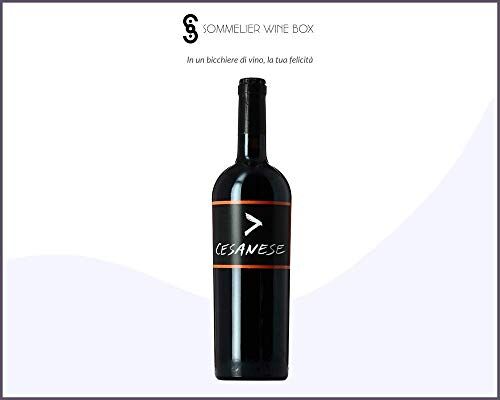 Sommelier Wine Box CESANESE >   Cantina L'olivella   Annata 2016