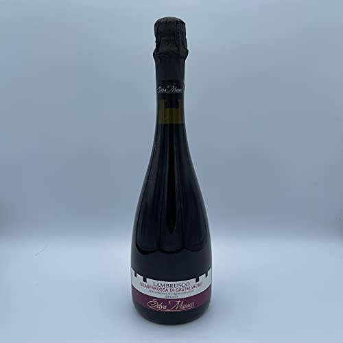 Selva Masacci Lambrusco Grasparossa Di Castelvetro Vino Rosso DOC Frizzante Secco 11% vol 750ml