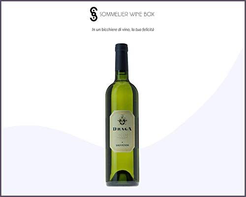 Sommelier Wine Box SAUVIGNON COLLIO   Cantina Draga   Annata 2019