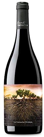 8437008635958 VINO ROSSO SPAGNOLO GARNACHA OLVIDADA DE ARAGÓN