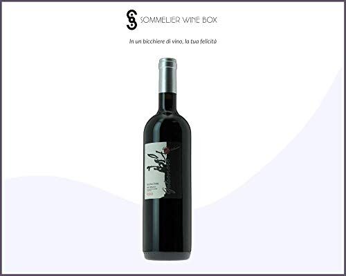 Sommelier Wine Box Villa Dora LACRYMA CHRISTI ROSSO   Cantina Villa Dora   Annata 2017