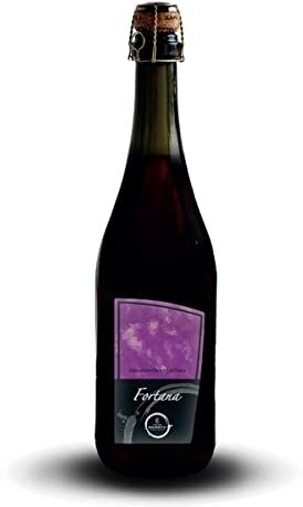 Cantine Mainetti Fortana Rosso Frizzante 75 cl