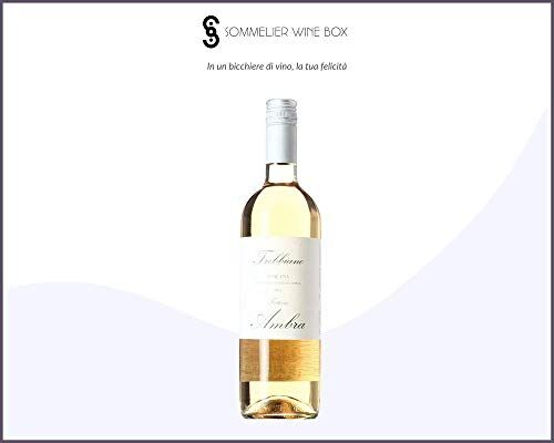 Sommelier Wine Box TREBBIANO DI TOSCANA   Cantina Fattoria Ambra   Annata 2019