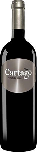 Bodegas Mauro San Roman Cartago Paraje de Pozo Toro 2015 750ml