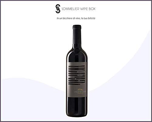 Sommelier Wine Box TEMPRANILLO Seleccion La Consulta   Cantina El Hijo Prodigo   Annata 2019