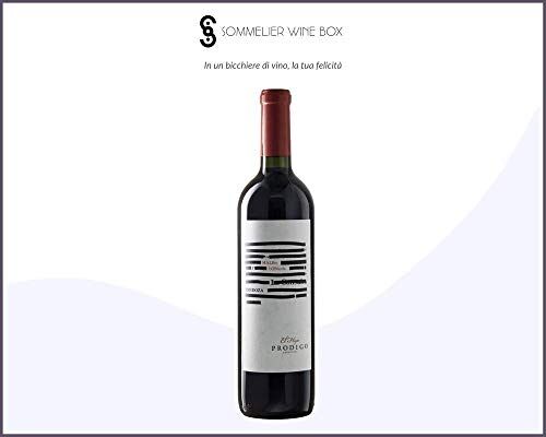 Sommelier Wine Box MALBEC Y BONARDA Seleccion Prodigo   Cantina El Hijo Prodigo   Annata 2012