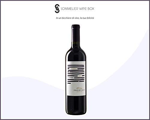 Sommelier Wine Box BONARDA Seleccion de Medrano Prodigo   Cantina El Hijo Prodigo   Annata 2018