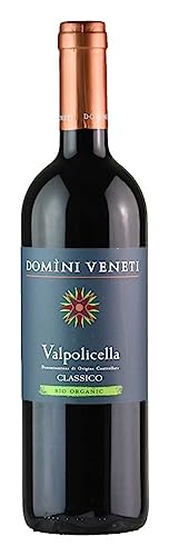 DOMINI VENETI Valpolicella Classico Bio 2019