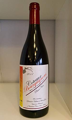 DOMAINE HENRI GROS COTEAUX BOURGUIGNONS 2020  BIO 0,75L DIVINAMENTE FRANCIA® -