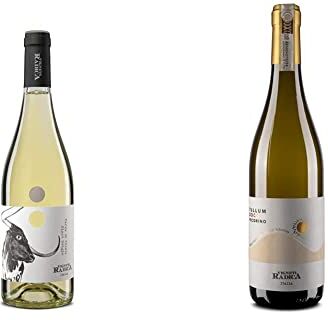 Vigneti Radica Pinot Grigio Igt Terre Di Chieti Vino Bianco 750 ml & Tullum Pecorino Docg Vino Bianco 750 ml