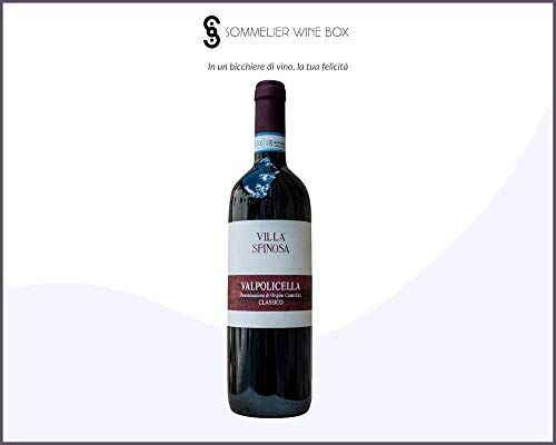 Sommelier Wine Box VALPOLICELLA CLASSICO   Cantina Villa Spinosa   Annata 2019