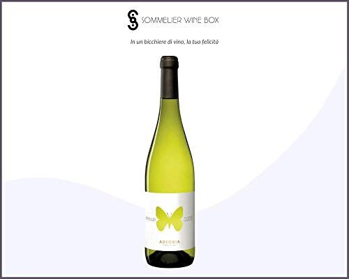 Sommelier Wine Box TREBBIANO D'ABRUZZO Apollo   Cantina Ausonia   Annata 2018