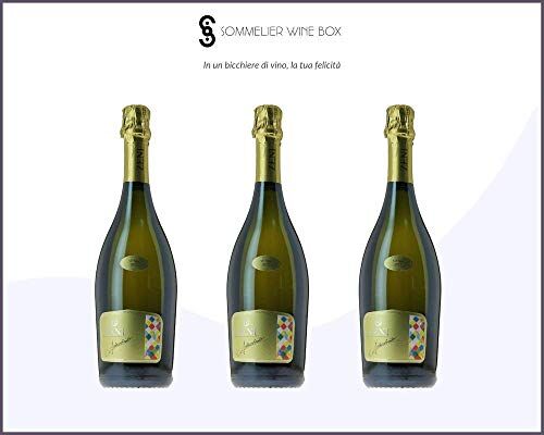 Sommelier Wine Box NOSIOLA BRUT Arlecchino   Cantina Zeni   Annata 2019