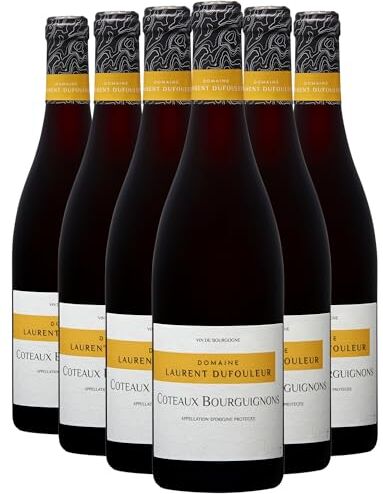 Generico Côteaux Bourguignons rosso 2021 Domaine Laurent Dufouleur DOP Borgogna Francia Vitigni Pinot Noir,Gamay 12x75cl