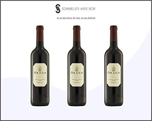 Sommelier Wine Box MERLOT COLLIO   Cantina Draga   Annata 2014